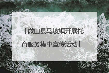 微山县马坡镇开展托育服务集中宣传活动
